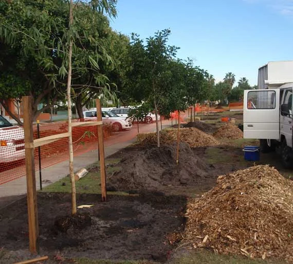 planting1