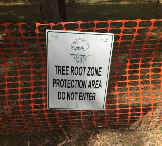 tree-protection2